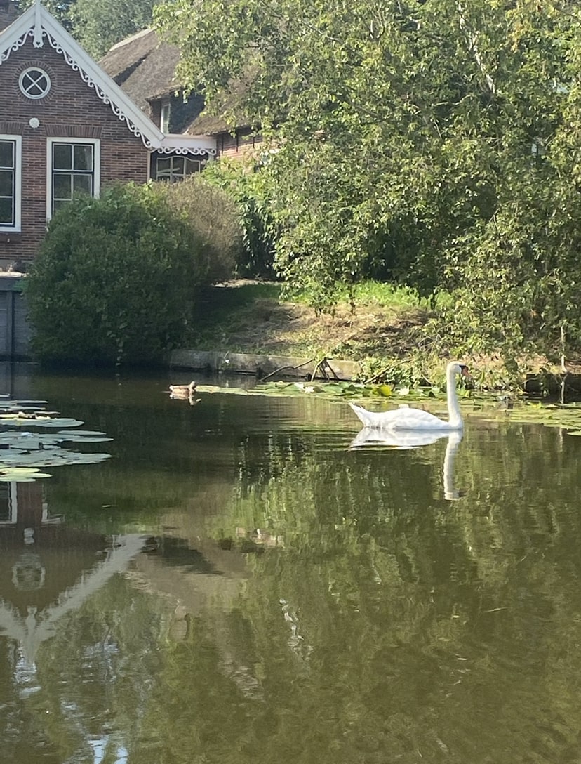 Omgeving Nieuwkoop 6