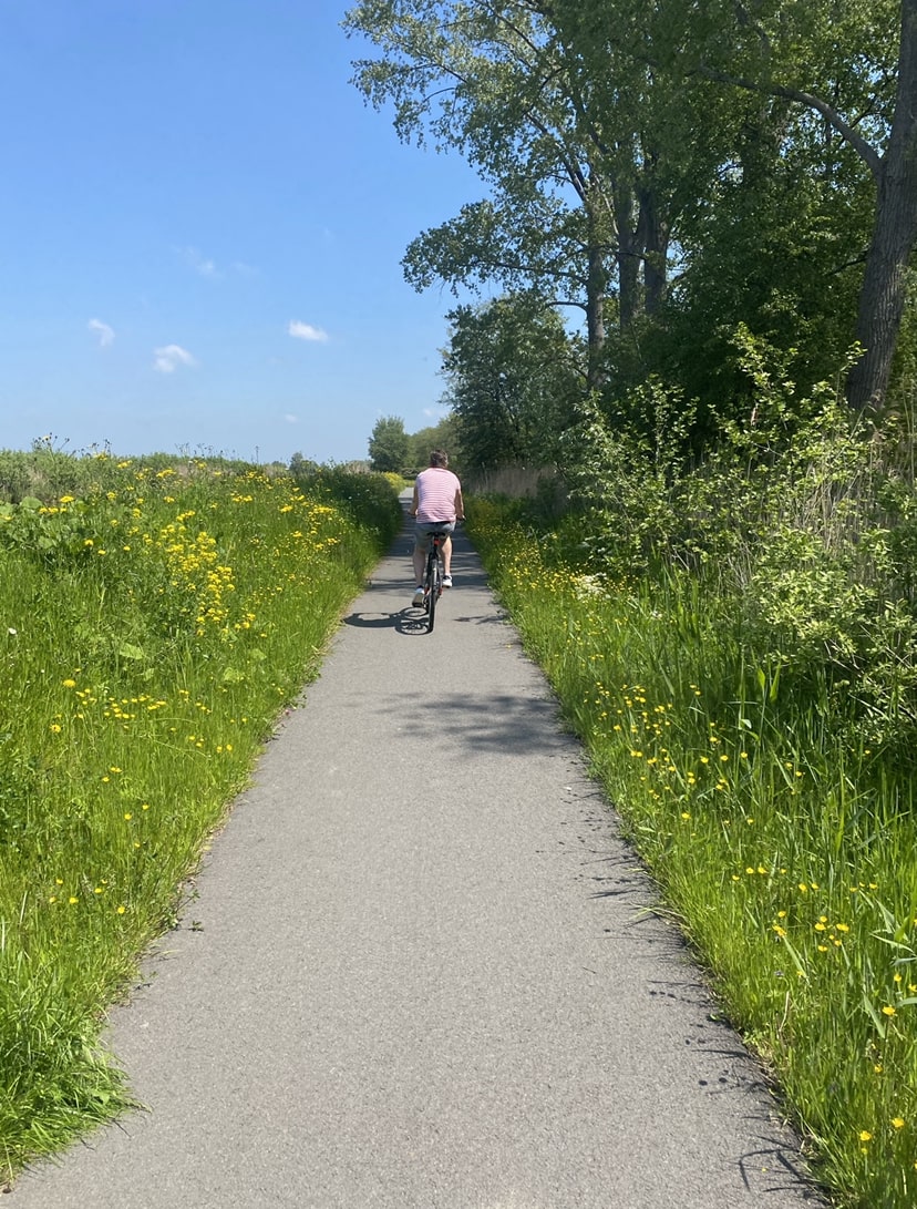 Omgeving Nieuwkoop 7