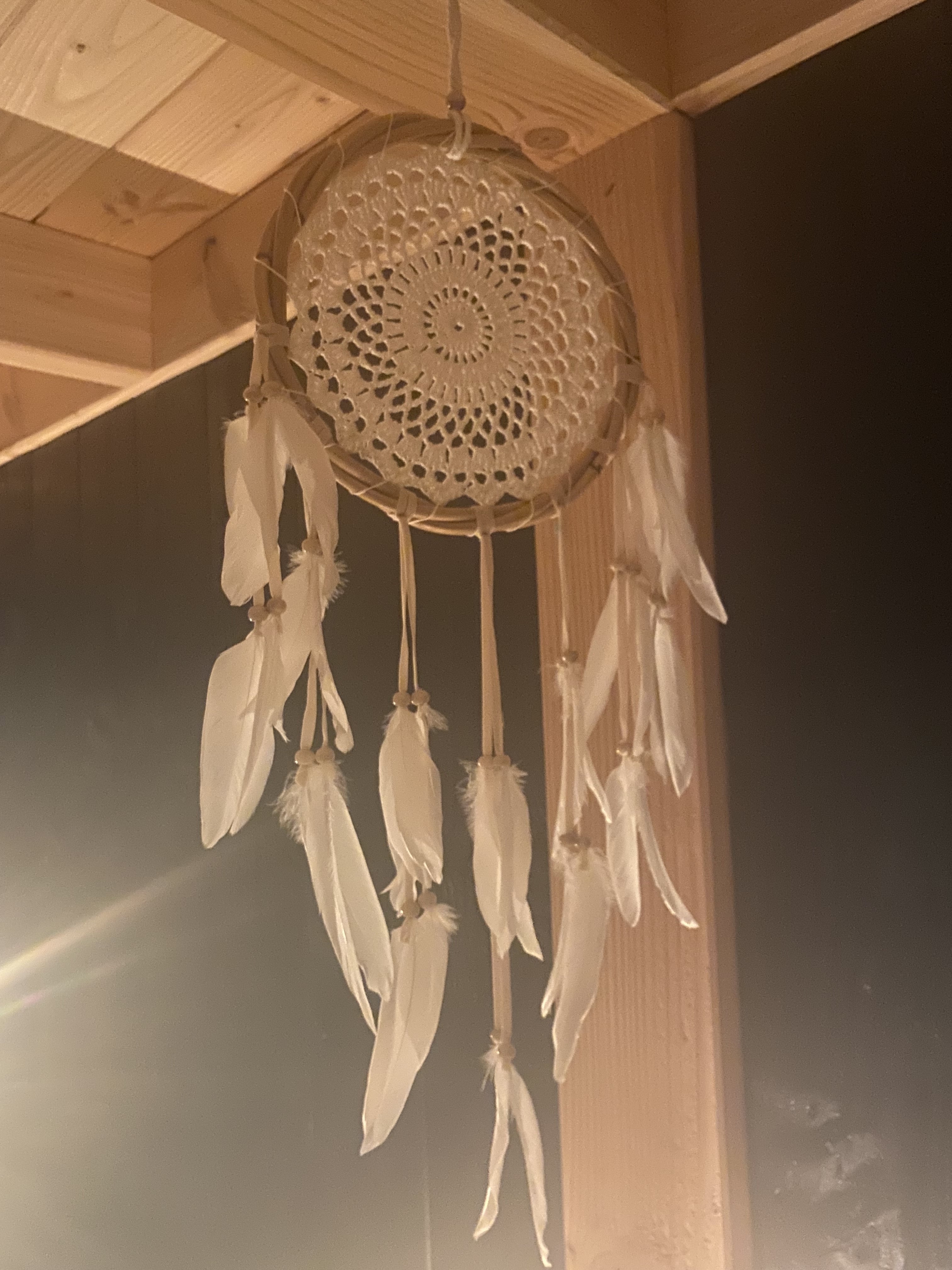 Dromenvanger Droomhuis